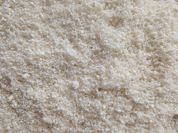 木聚糖酶在紙漿中的作用機(jī)理