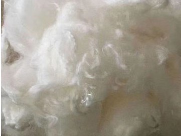 什么是溶解漿？