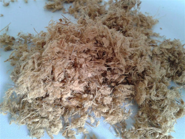 紙漿的特性，在生活中紙漿的運用